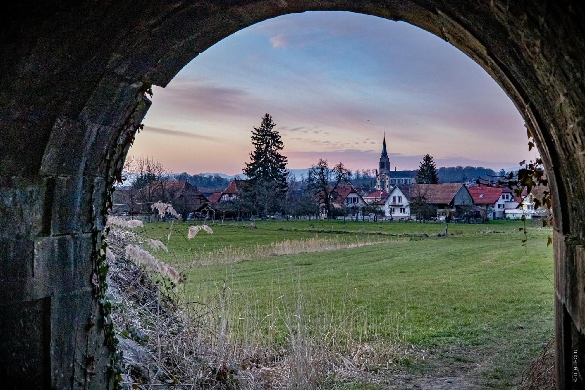Gite Les Sabots De Paille, Alsace Haut-Rhin Ballesdorf Exterior foto
